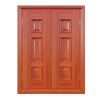 Cửa Thép Vân Gỗ 2 Cánh SK2-03