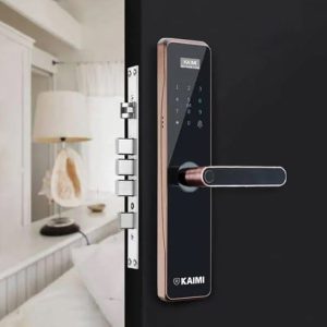 Khóa Vân Tay BTM101 Màu Viền Đồng